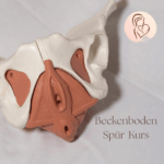 Lerne deinen Beckenboden kennen. Mini-Kurs für 0€ statt 37€