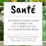 Ebook: "Ratgeber und Kräutertipps für die häufigsten Alltagsbeschwerden"